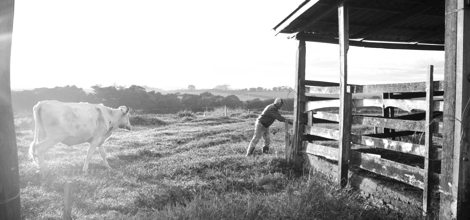 Unsplashed background img 3