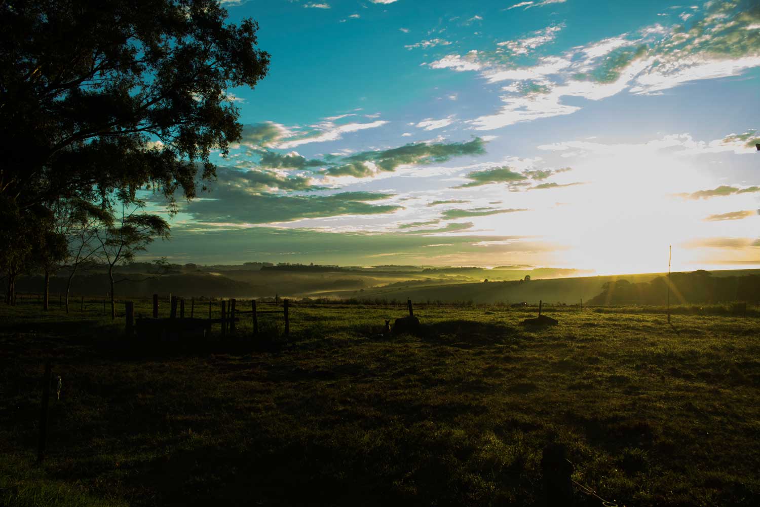 Unsplashed background img 3