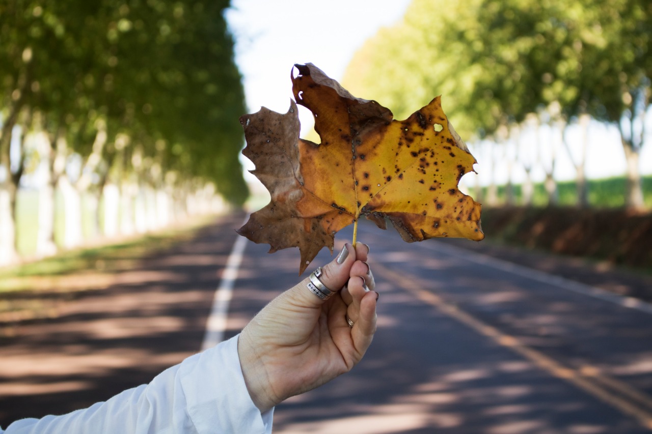 Unsplashed background img 3